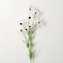 Load image into Gallery viewer, White Daisy Stem
