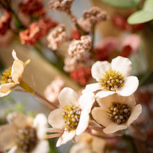 Load image into Gallery viewer, Rust Flower Eucalyptus Pick
