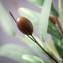 Load image into Gallery viewer, Rustic Olive Leaf Pick
